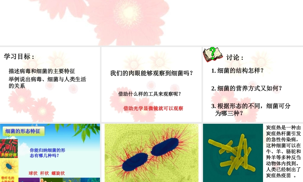 《第三节-神奇的微生物》课件4