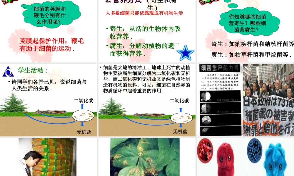 《第三节-神奇的微生物》课件4