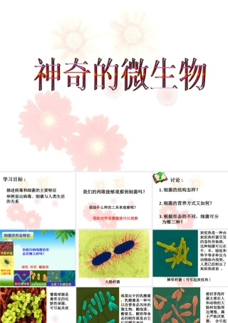 《第三节-神奇的微生物》课件4