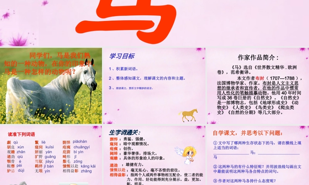 七年级语文下册 第29课(马)课件 (新版)新人教版 课件