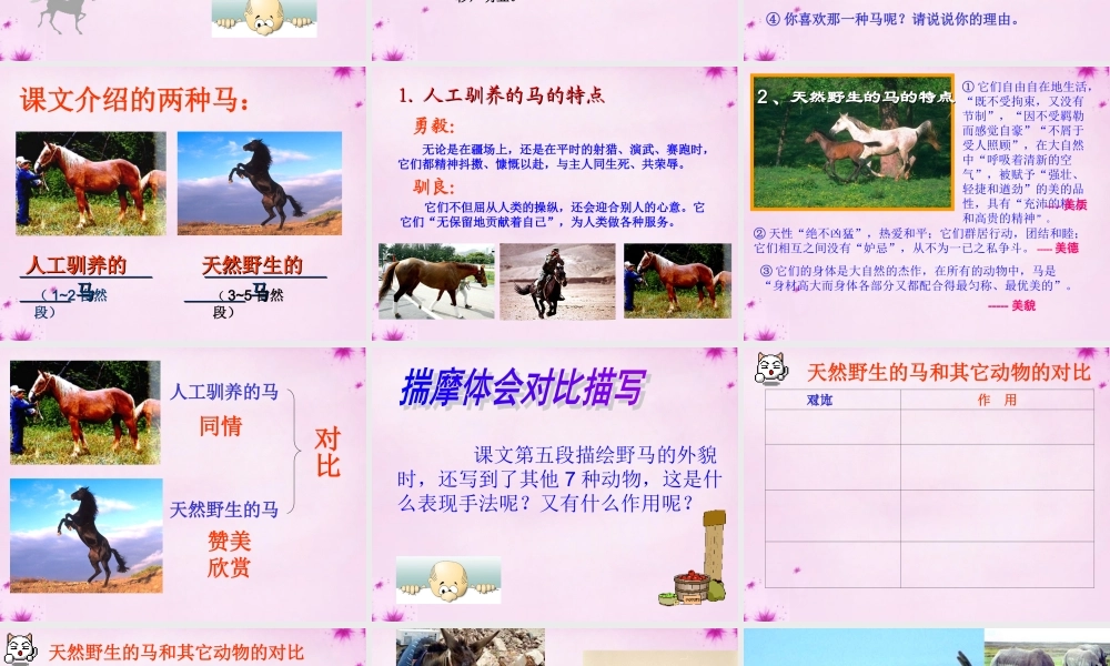七年级语文下册 第29课(马)课件 (新版)新人教版 课件