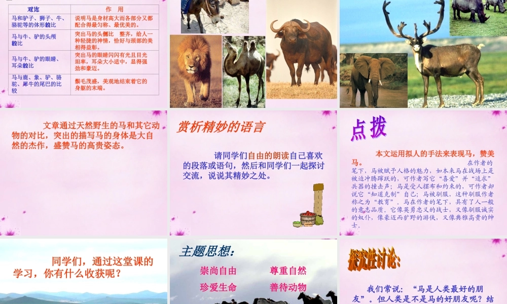 七年级语文下册 第29课(马)课件 (新版)新人教版 课件