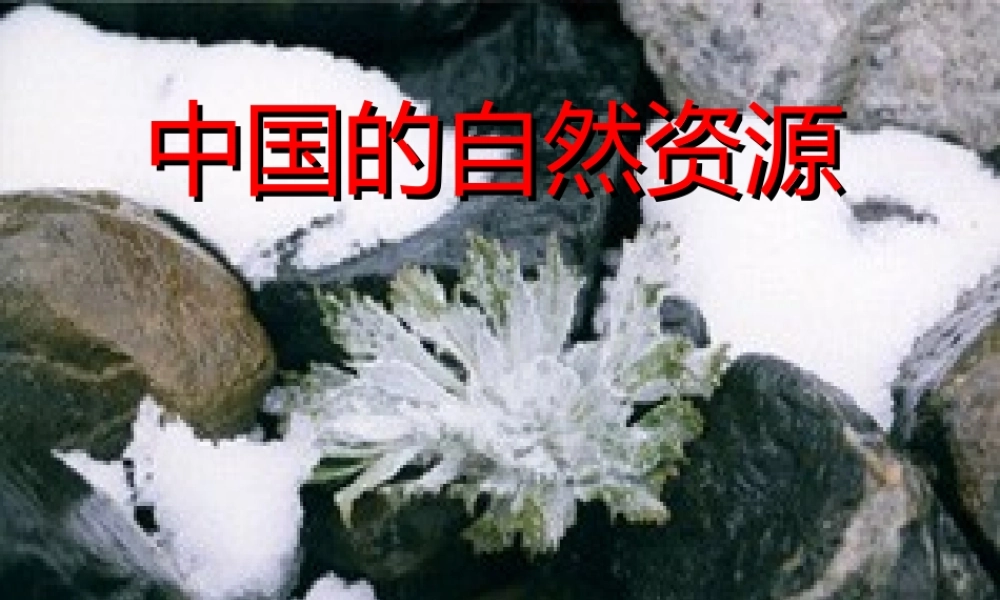 中国的自然资源