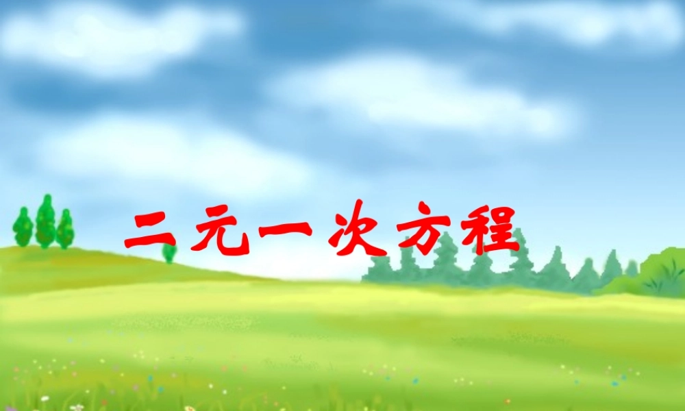 二元一次方程1 二元一次方程组课件