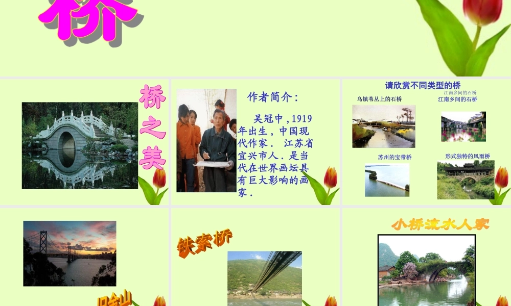 八年级语文上册 (桥之美)课件 人教新课标版 课件