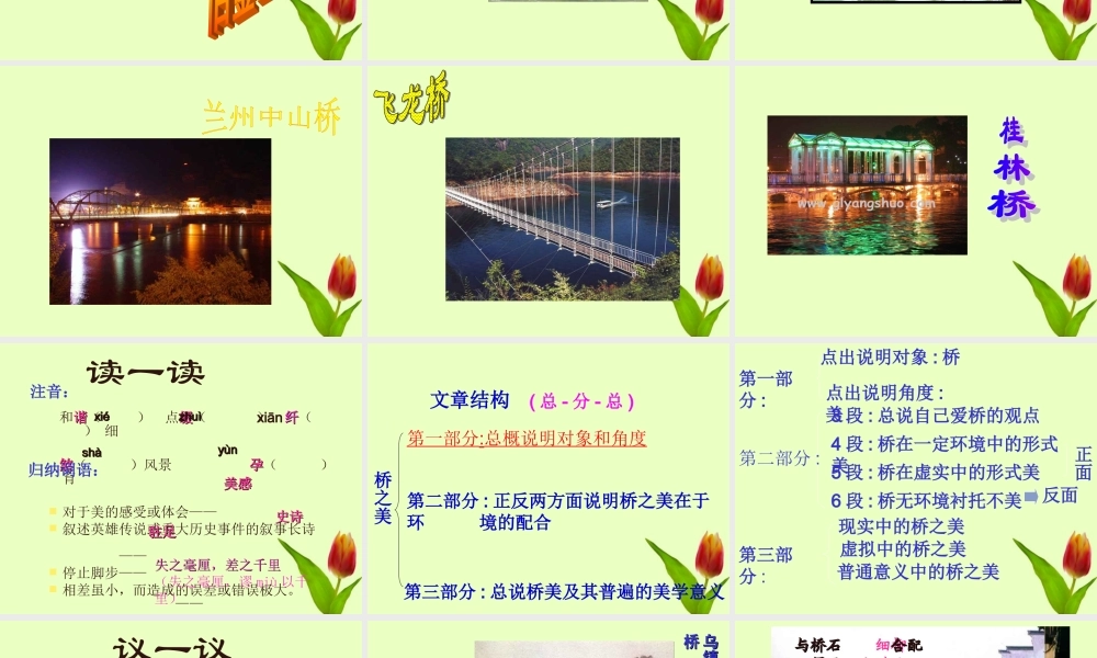 八年级语文上册 (桥之美)课件 人教新课标版 课件