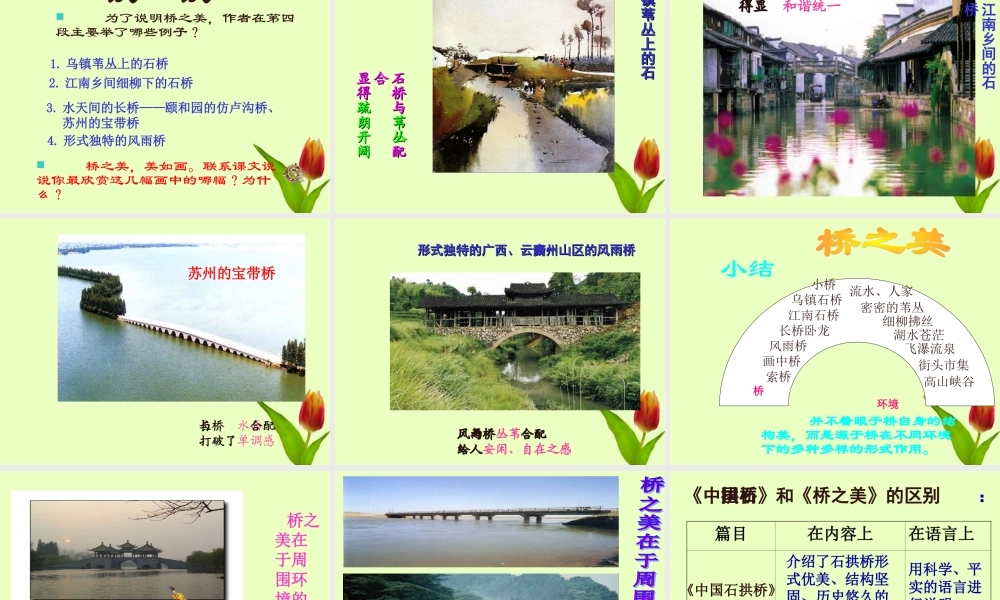 八年级语文上册 (桥之美)课件 人教新课标版 课件