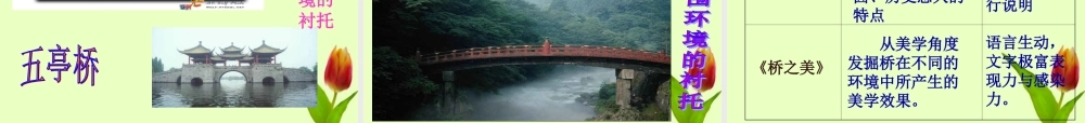 八年级语文上册 (桥之美)课件 人教新课标版 课件