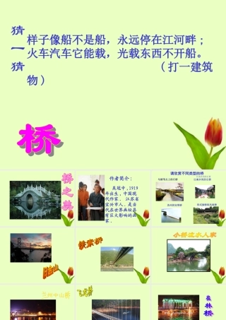 八年级语文上册 (桥之美)课件 人教新课标版 课件