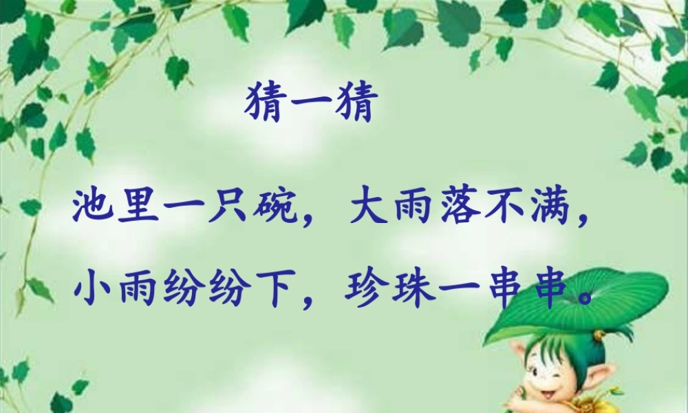 《荷叶圆圆》教学课件1