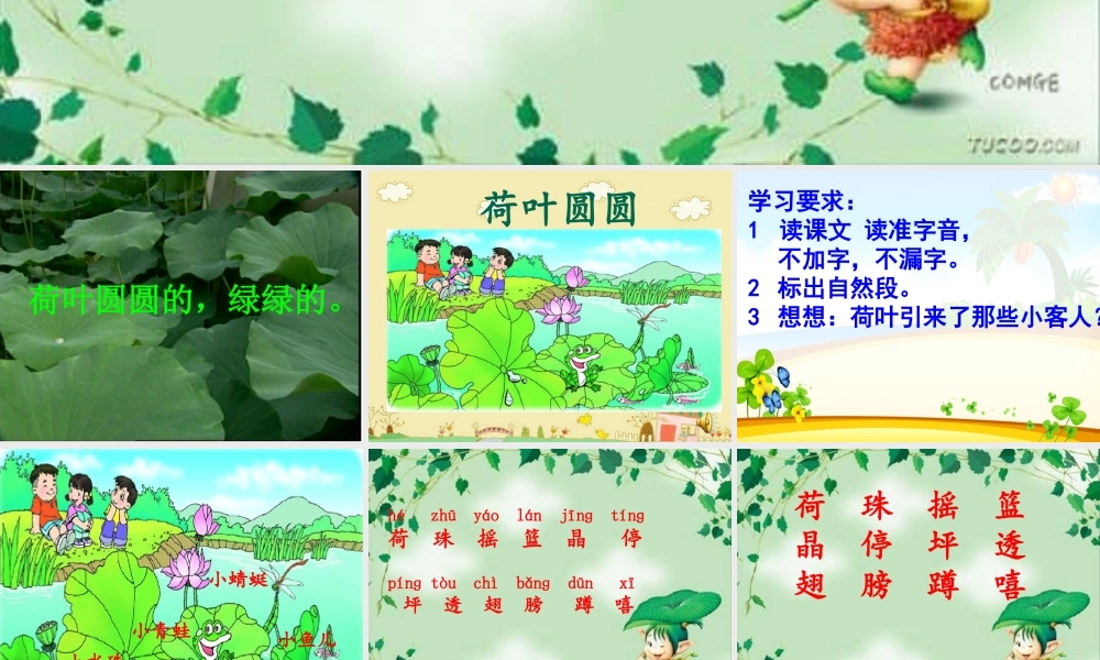 《荷叶圆圆》教学课件1