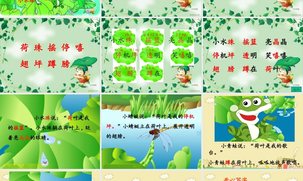 《荷叶圆圆》教学课件1