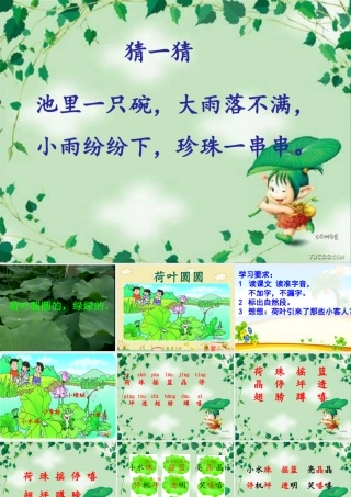 《荷叶圆圆》教学课件1