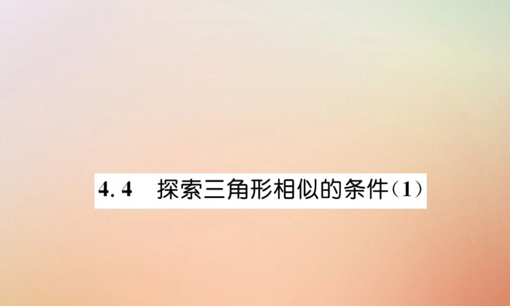九年级数学上册 第4章 图形的相似 44 探索三角形相似的条件(1)作业课件 (新版)北师大版 课件