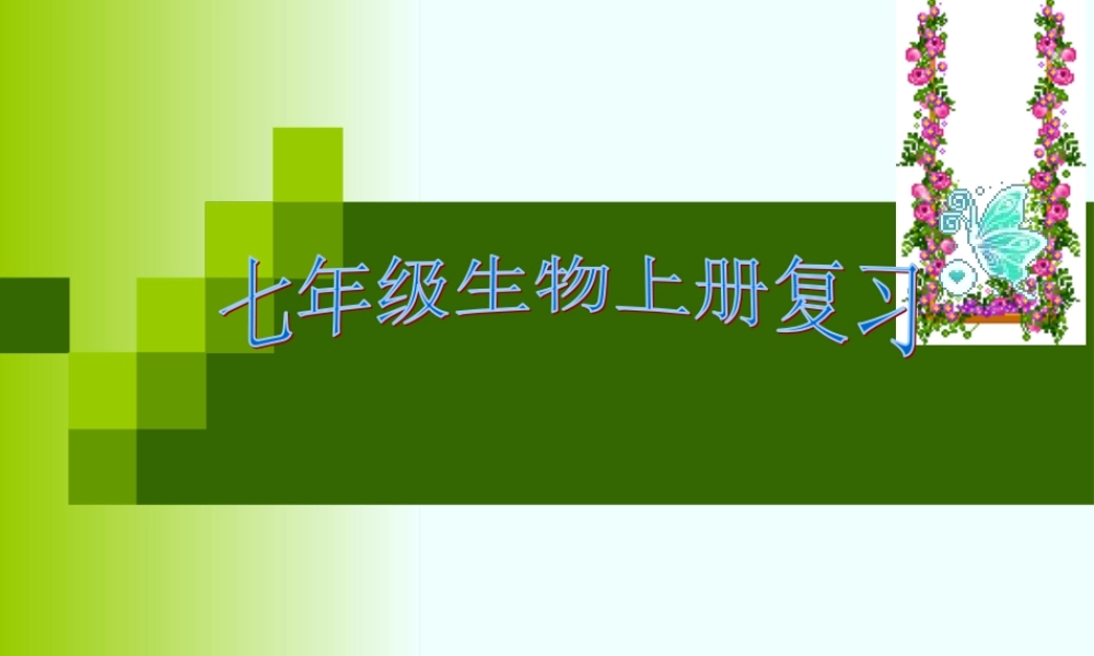 科学·技术·社会-森林可以减缓气候变化-(2)