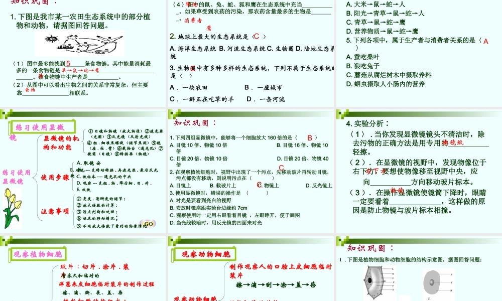 科学·技术·社会-森林可以减缓气候变化-(2)
