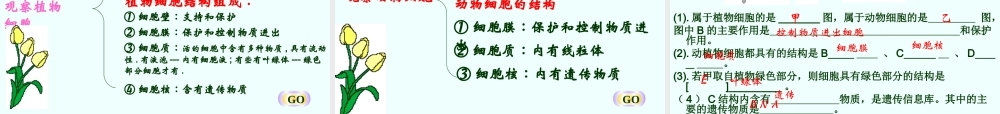 科学·技术·社会-森林可以减缓气候变化-(2)