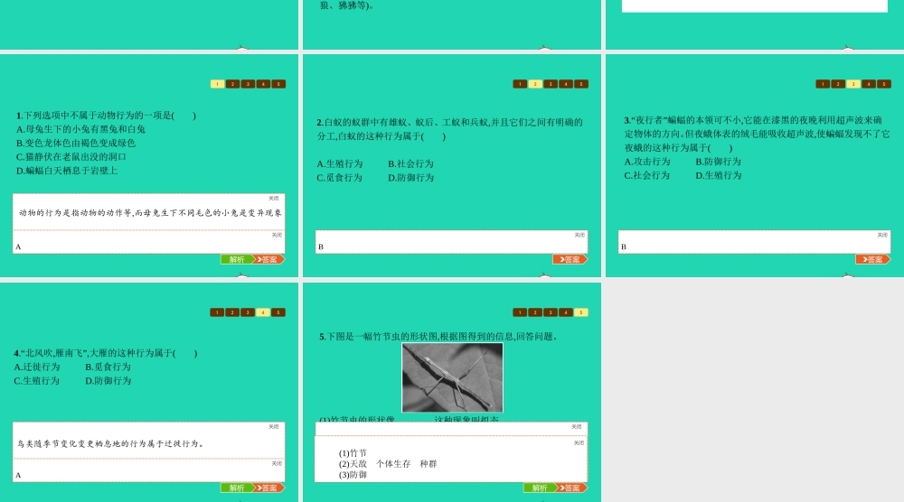 八年级生物上册 18.1 动物行为的主要类型课件 (新版)苏教版 课件