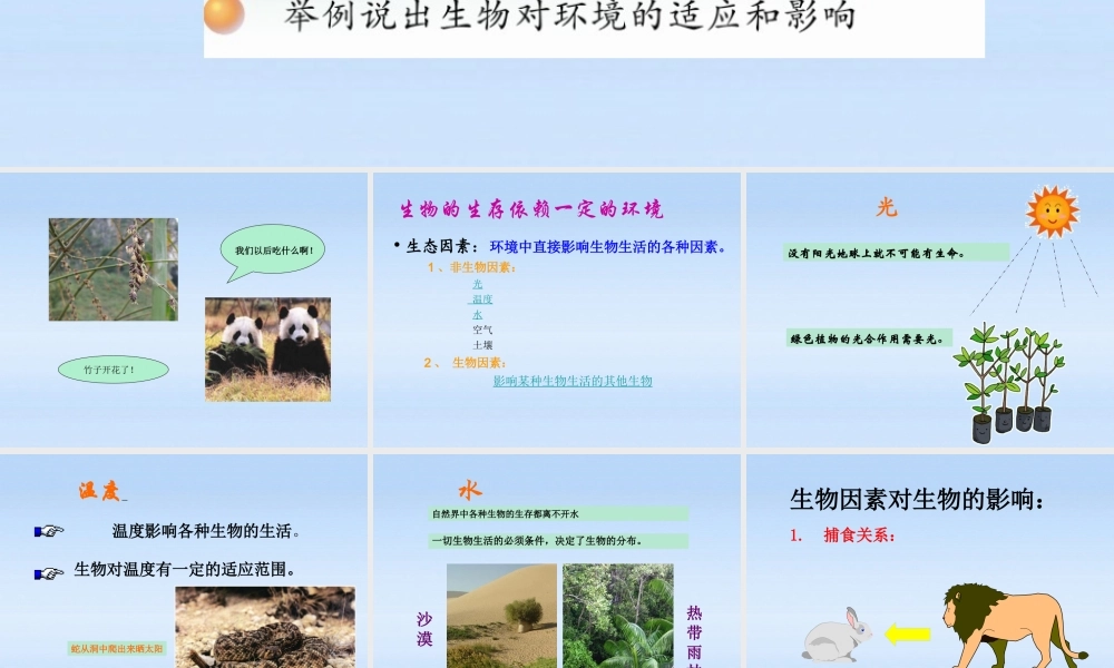 七年级生物上册 生物与环境之间的关系课件 苏科版 课件