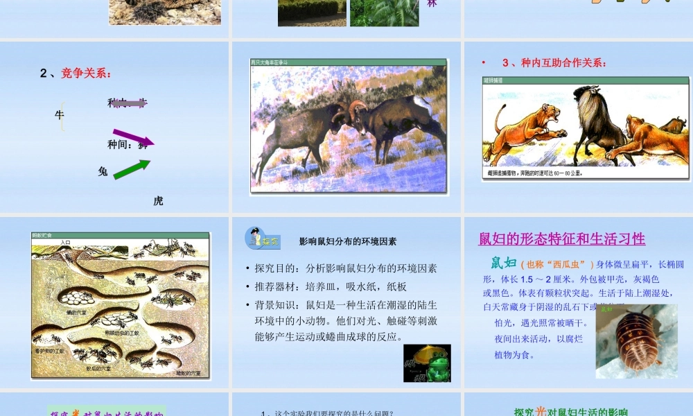 七年级生物上册 生物与环境之间的关系课件 苏科版 课件