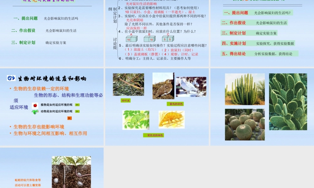 七年级生物上册 生物与环境之间的关系课件 苏科版 课件