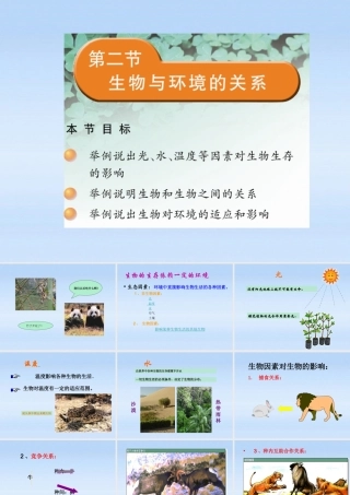 七年级生物上册 生物与环境之间的关系课件 苏科版 课件