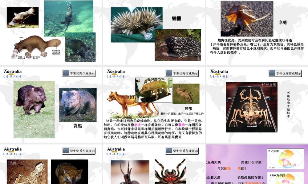 中学七年级地理下册 8.7 澳大利亚课件 湘教版 课件