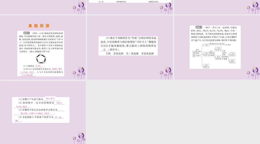 中考化学总复习 第二部分 专题提升 专题1 物质构成的奥秘 四 物质的推断课件