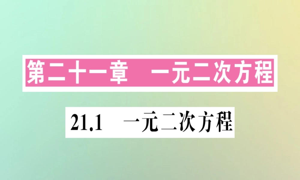 九年级数学上册 第二十一章 一元二次方程 211 一元二次方程习题课件 (新版)新人教版 课件