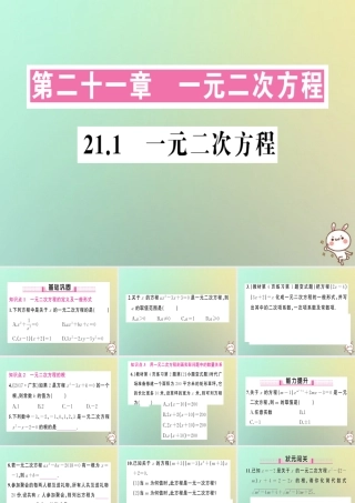 九年级数学上册 第二十一章 一元二次方程 211 一元二次方程习题课件 (新版)新人教版 课件