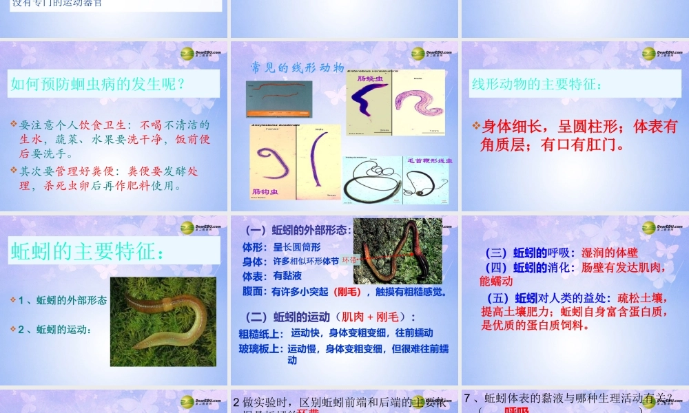 八年级生物上册 线形动物和环节动物课件 (新版)新人教版 课件