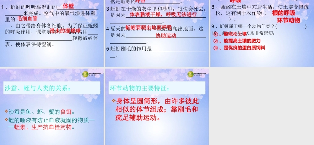 八年级生物上册 线形动物和环节动物课件 (新版)新人教版 课件