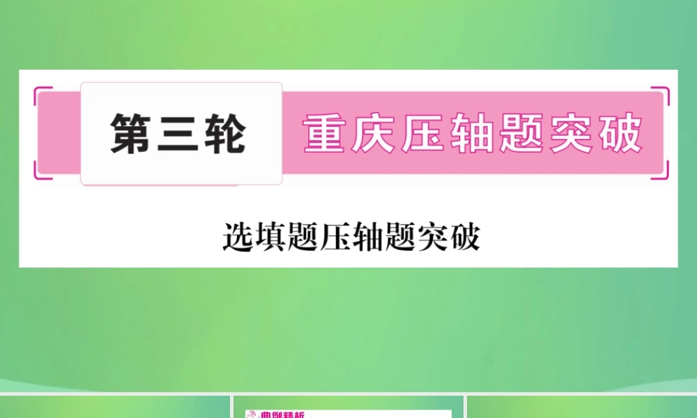 中考数学复习 第三轮 压轴题突破 重难点突破一 不等式组与分式方程的综合题(精练)课件