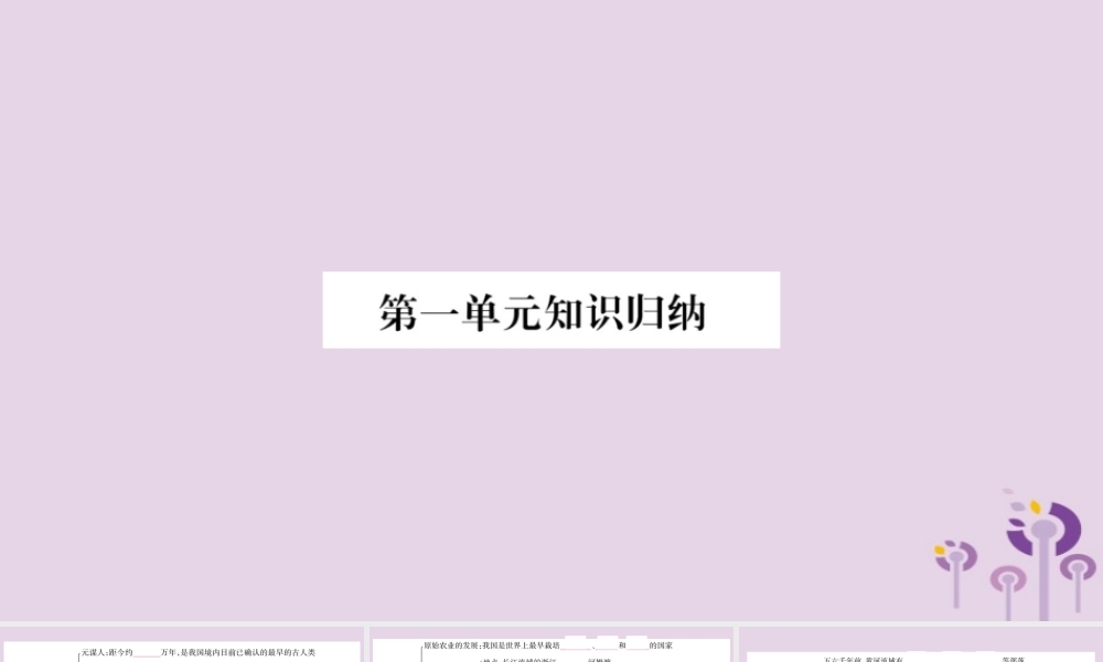 广西七年级历史上册 第1单元 史前时期 中国境内人类的活动知识归纳 综合提升课件 新人教版 课件