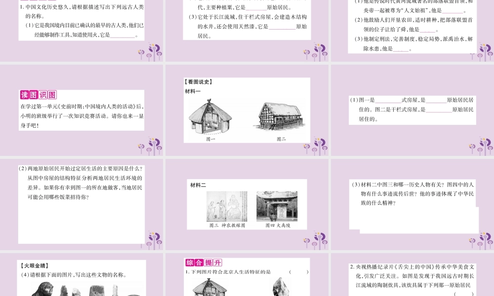 广西七年级历史上册 第1单元 史前时期 中国境内人类的活动知识归纳 综合提升课件 新人教版 课件