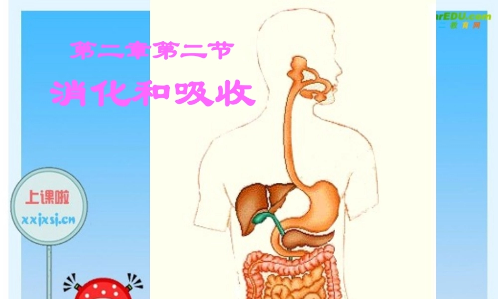 七年级生物下册：第四单元第二章第二节消化和吸收6课件 人教版 课件