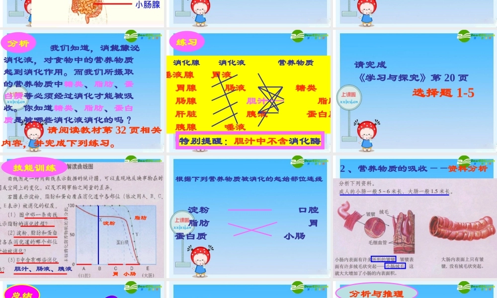 七年级生物下册：第四单元第二章第二节消化和吸收6课件 人教版 课件