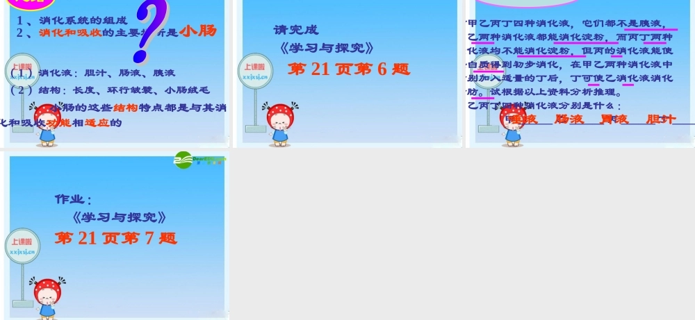 七年级生物下册：第四单元第二章第二节消化和吸收6课件 人教版 课件