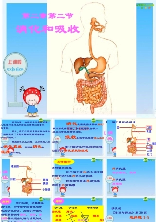 七年级生物下册：第四单元第二章第二节消化和吸收6课件 人教版 课件