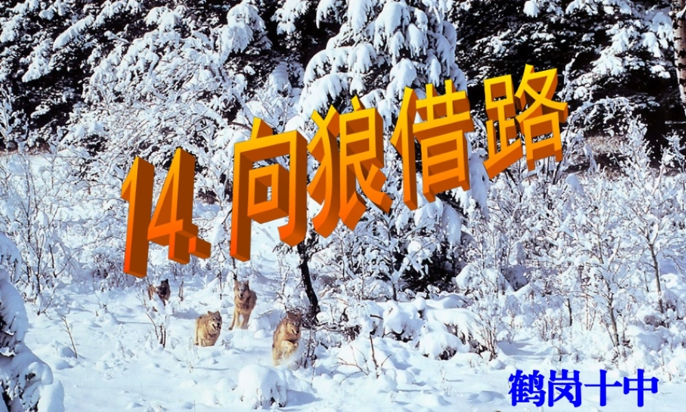 向狼借路课件新1