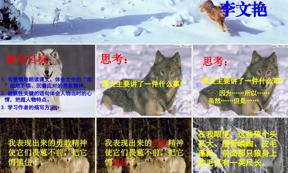 向狼借路课件新1