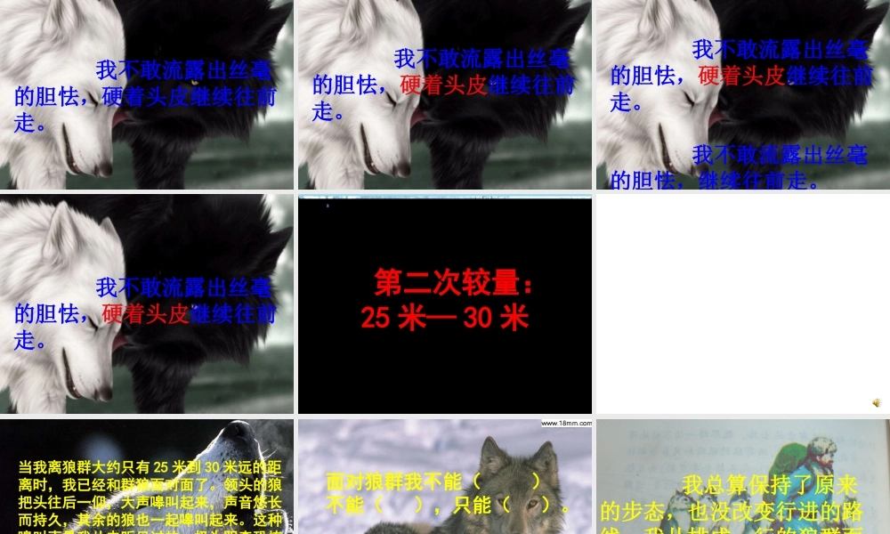 向狼借路课件新1