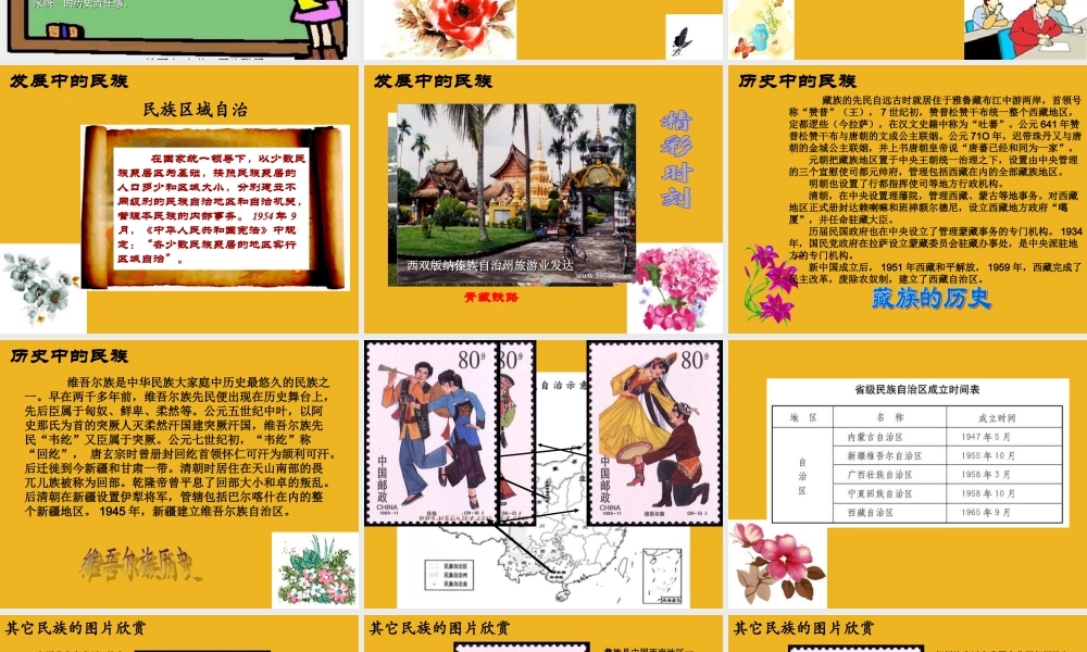 八年级历史下册 第5课( 万方乐奏有于阗 )课件(二) 北师大版 课件