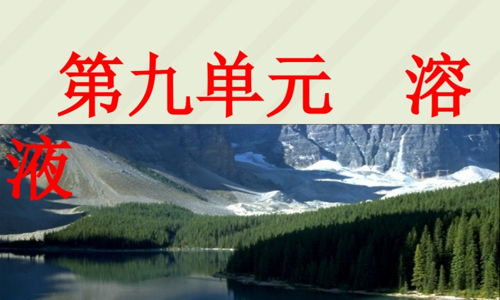 初三化学第九单元溶液课件