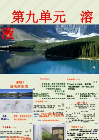 初三化学第九单元溶液课件