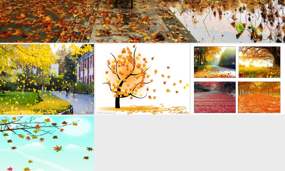 小班音乐游戏活动《树叶飘飘》