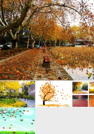 小班音乐游戏活动《树叶飘飘》