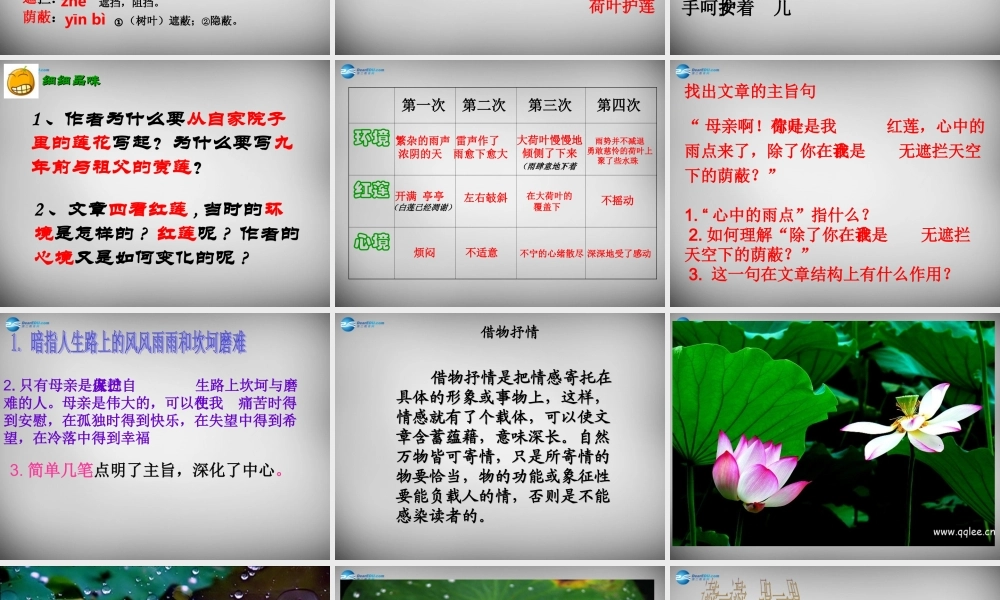 中学七年级语文上册 第4课(散文诗两首)荷叶 母亲课件 (新版)新人教版 课件