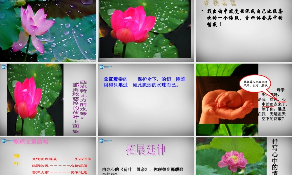 中学七年级语文上册 第4课(散文诗两首)荷叶 母亲课件 (新版)新人教版 课件