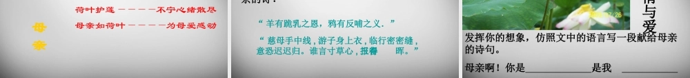 中学七年级语文上册 第4课(散文诗两首)荷叶 母亲课件 (新版)新人教版 课件